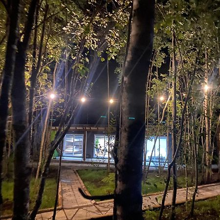 Hotel Boker Tov Pucón Esterno foto